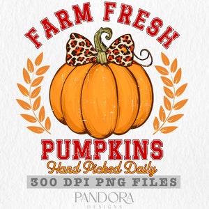 Zucche fresche di fattoria PNG, decorazioni autunnali, design del raccolto autunnale, arte rustica di campagna, download digitale per artigianato stagionale, decorazioni in stile fattoria