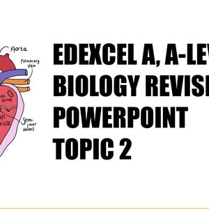 May include: A diagram of the human heart, labeled with the names of the chambers and valves. The diagram is part of a PowerPoint presentation for an A-Level Biology revision course. The title of the presentation is "EDEXCEL A, A-LEVEL BIOLOGY REVISION POWERPOINT TOPIC 2".