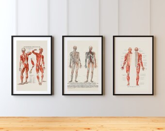 Anatomical Print Set: Vintage Medical Illustrations, Gothic Dark Academia Decor (Digital Download)