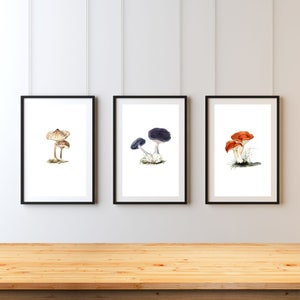 May include: Three framed prints of watercolor illustrations of mushrooms. The first print features a single mushroom with a brown cap and white spots. The second print features two mushrooms with purple caps. The third print features three mushrooms with orange caps.