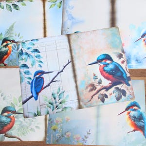 Lot de 5 papiers imprimés Kingfisher Junk Journal à deux volets, magnifiques motifs martin-pêcheur, prêts à l'emploi ! Papier imprimé martin-pêcheur pour collage