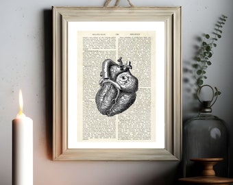 Anatomical Heart Print: Vintage Coronary Artery Art (Digital Download)