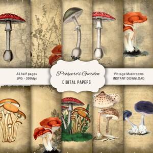 Mushroom illustrations Junk Journal Pages for Journalling or collage, Digital scrapbooking kit, Vintage style fungi ephemera for crafting