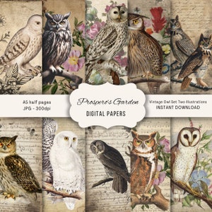 Eulen Junk Journal Seiten für Journaling, Scrapbooking oder Collage, Vogel Junk Journal Scrapbook Kit, Eulen Emphemera, Eulen Scrapbook Printables