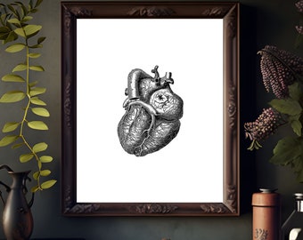Vintage Heart Anatomy Print: Coronary Diagram Poster (Digital Download)
