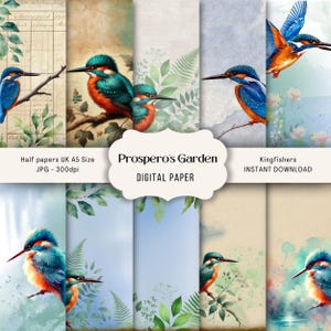 Kingfisher Junk Journal Pages, papier grunge Kingfisher pour collage, scrapbooking numérique, demi-papier numérique oiseaux colorés, pliage en deux A4 UK
