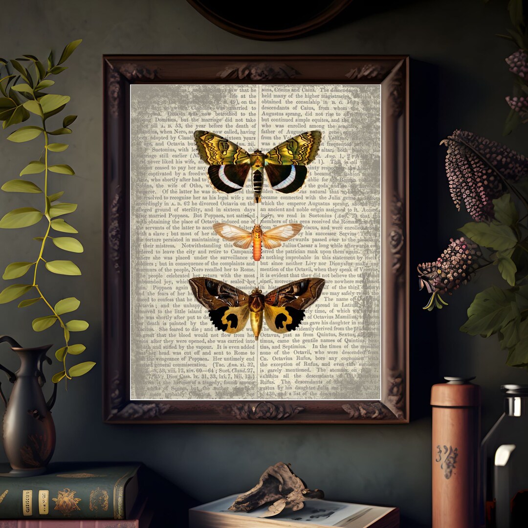 Vintage Moth Print, Three Moth Specimen Instant Download, Vintage Moth ...