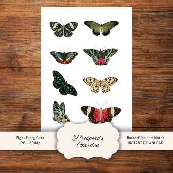Fussy Cut Butterflies and Moths, Vintage Images for Junk Journalling and Creative Projects, Junk Journal digis, Scrapbook Butterfly Kit