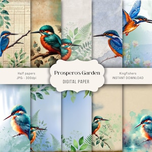 Kingfisher Junk Journal Pages, papier grunge Kingfisher pour collage, scrapbooking numérique, demi-papier numérique oiseaux colorés, pages à deux volets