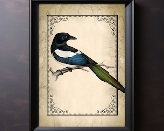 Magpie Art Print: Vintage Ornithology, Dark Academia Decor (Digital Download)