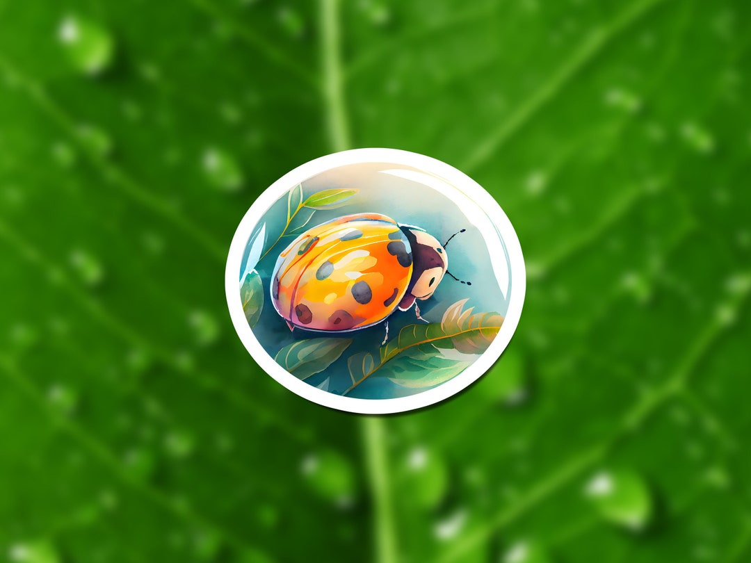 Cute Ladybug Sticker Cute Lady Bug Sticker Ladybug Etsy