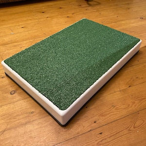 Archie Bear Dog Training Place Board