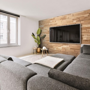 May include: A gray sectional sofa with a white throw blanket sits in front of a wall with a wood panel accent wall. A flat screen TV is mounted on the wall. A potted plant and a small table are in the corner of the room.