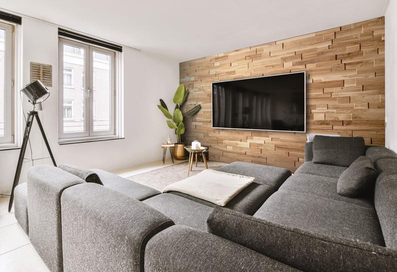 May include: A gray sectional sofa with a white throw blanket sits in front of a wall with a wood panel accent wall. A flat screen TV is mounted on the wall. A potted plant and a small table are in the corner of the room.