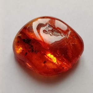 Natural Baltic Amber Stone with Insect Inclusion - Amber with Fossil - Amber with Bug