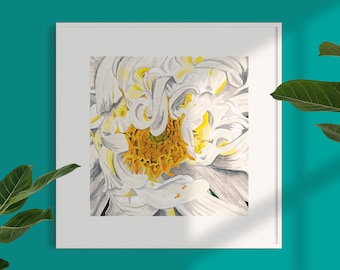 Floral Art Print of "Peaceful Peony" 20cm x 20cm Square and borderless