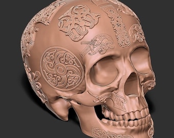 3D Stl File, Skull Stl, Instantly Download stl, High Quality Stl, Skeleton Stl