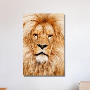 Lion Wild Canvas Art Lion Canvas Wall Art Lion Print Wild Animal Print Lion Painting Lion Poster Animal Wall Art Lion Photo Lion Wall Decor