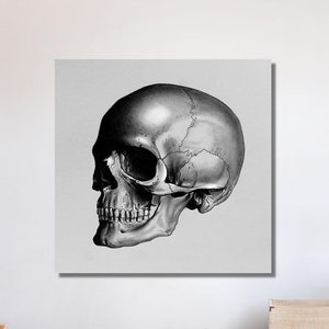 Vintage Anatomical Prints Medical Decor Human Anatomical Vintage Canvas Bones Medicine Head Skullt Retro Home Decorating Anatomical Decor