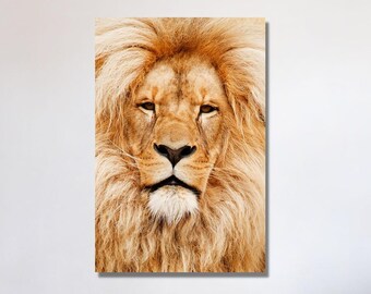 Lion Wild Canvas Art Lion Canvas Wall Art Lion Print Wild Animal Print Lion Painting Lion Poster Animal Wall Art Lion Photo Lion Wall Decor