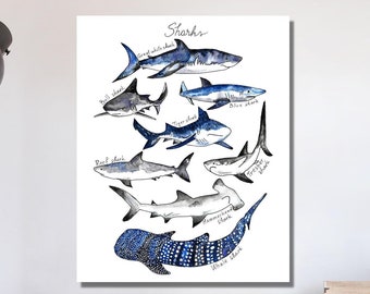 May include: A white poster with the word "Sharks" at the top and illustrations of different types of sharks, including a whale shark, a hammerhead shark, a tiger shark, and a great white shark.