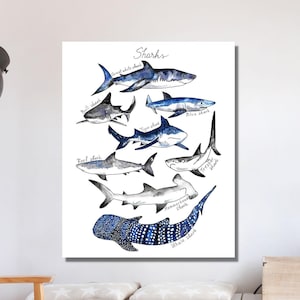 Watercolor Sharks PRINTABLE CANVAS, Nautical Decor Sharks Print, Ocean Shark Poster, Shark Wall Decor, Shark Species Art, Shark Beach Decor