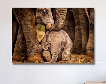 Elephant Canvas Large Wall Art, Animal Street Art, African Elephant Canvas Elephant African Animal Elephant Print, Handmade Gift, Canvas Art