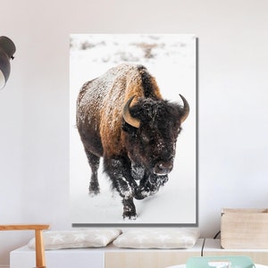 American Buffalo in Snow Original Pictures Art, Buffalo Canvas Home Decor, Buffalo Wall Art, Buffalo Wall Decor, Buffalo Office Print Decor