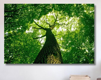 Branch Wall Art Green Nature Print Tree branch Print Landscape Canvas Gift, Forest Wall Decor Extra Large Wall Art Large Forest Print Decor