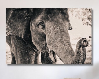 Elephant Canvas Large Wall Art, African Elephant Canvas Elephant African Animal Elephant Print, Animal Street Art, Handmade Christmas Gift