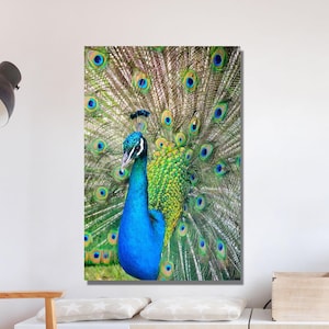 Blue and Green Peacock Canvas, Peacock Poster, Peacock Wall Decoration, Bird Painting Poster, Canvas or Poster Art, Animal Artwork
