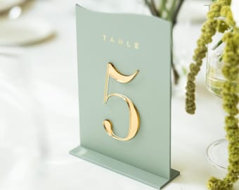 Sage Green Acrylic Table Numbers - Wedding Table Decor - Reception Table Signs - Wedding Tablescape