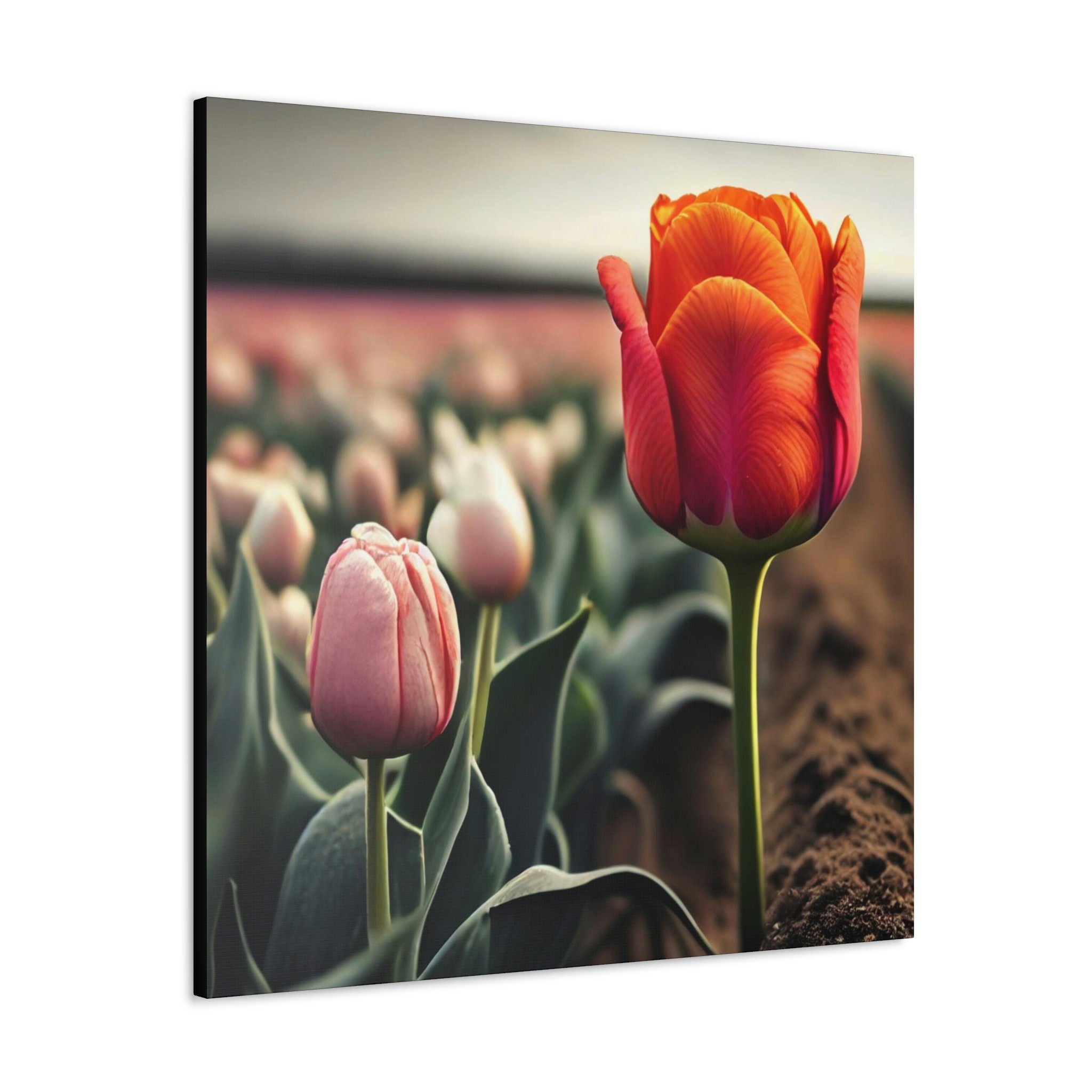 Tulips Canvas Print Etsy