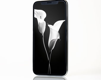 4K Cala Lily Wallpaper: Monochrome Phone Background (Digital Download)