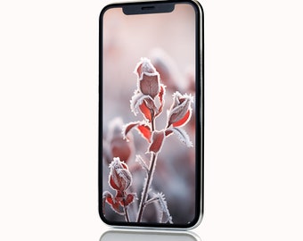 4k | Frosted Flower Smartphone Winter Background | iPhone Wallpaper Lock Screen