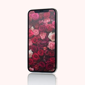 4K / Rose Wall - Sfondo per smartphone: iPhone, Samsung, Android