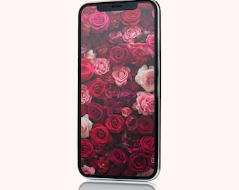 4K | Rose Wall - Background Wallpaper Smartphones - iPhone, Samsung, Android