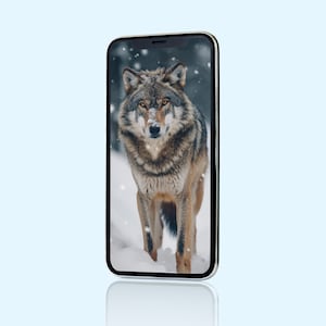 May include: A grey wolf stands in a snowy forest, looking directly at the camera. The wolf is in focus, while the background is blurred. The image is displayed on a smartphone screen.