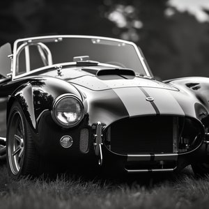 May include: A black and silver classic sports car with a single black stripe down the bonnet. The car is parked on a grassy field.