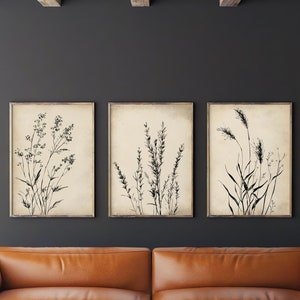Beige pictures plants poster set of three in beige and black vintage pictures hallway minimalist poster set bedroom pictures flowers