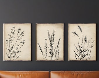 Beige Pictures Plant Posters Set of Three in Beige and Black Vintage Pictures Hallway Minimalist Poster Set Bedroom Pictures Flowers