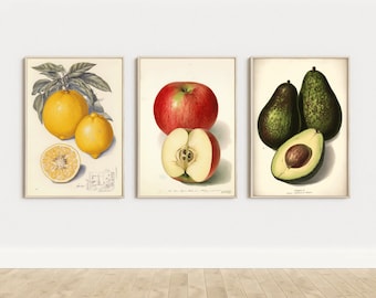Set of three fruit pictures kitchen decoration lemon wall decor picture apple vintage avocado poster picture set of 3 kitchen avocado, lemon, apple