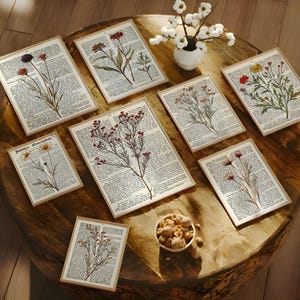 Print on book page Vintage decor Plant pictures on old book pages with branches and flowers Poster Country house decoration Hallway Plant print