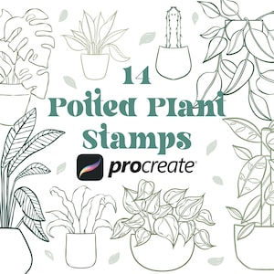 May include: 14 black and white line art illustrations of potted plants for Procreate. The illustrations include a variety of plants, such as monstera, snake plant, and peace lily.