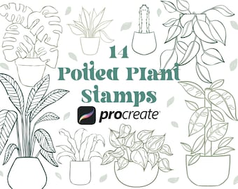 14 Potted Plant Procreate Stamps | Plant Brush | Boho Procreate Stamps | Flower Stamps | Procreate Plants | Botanical Procreate | Brushset