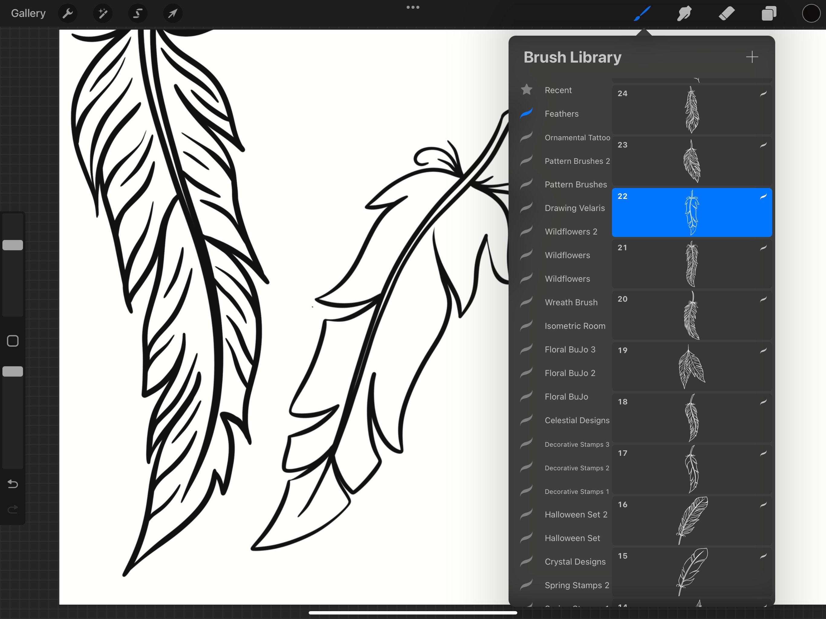 25 Feather Procreate Stamps Ornamental Stamps Tattoo Feather Procreate