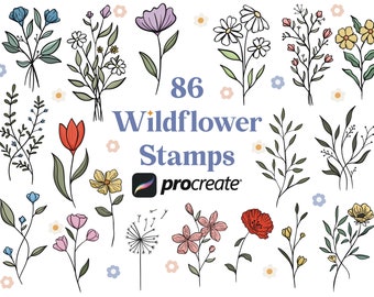 Könnte beinhalten: 86 Wildblumenstempel für Procreate, eine digitale Kunst-App. Das Bild zeigt eine Sammlung handgezeichneter Wildblumen in verschiedenen Farben, darunter Blau, Lila, Pink, Gelb und Rot.
