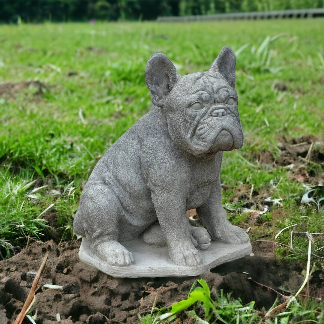 Outdoor Bulldog Concrete Statue Sitting French Bulldog Garden Etsy
