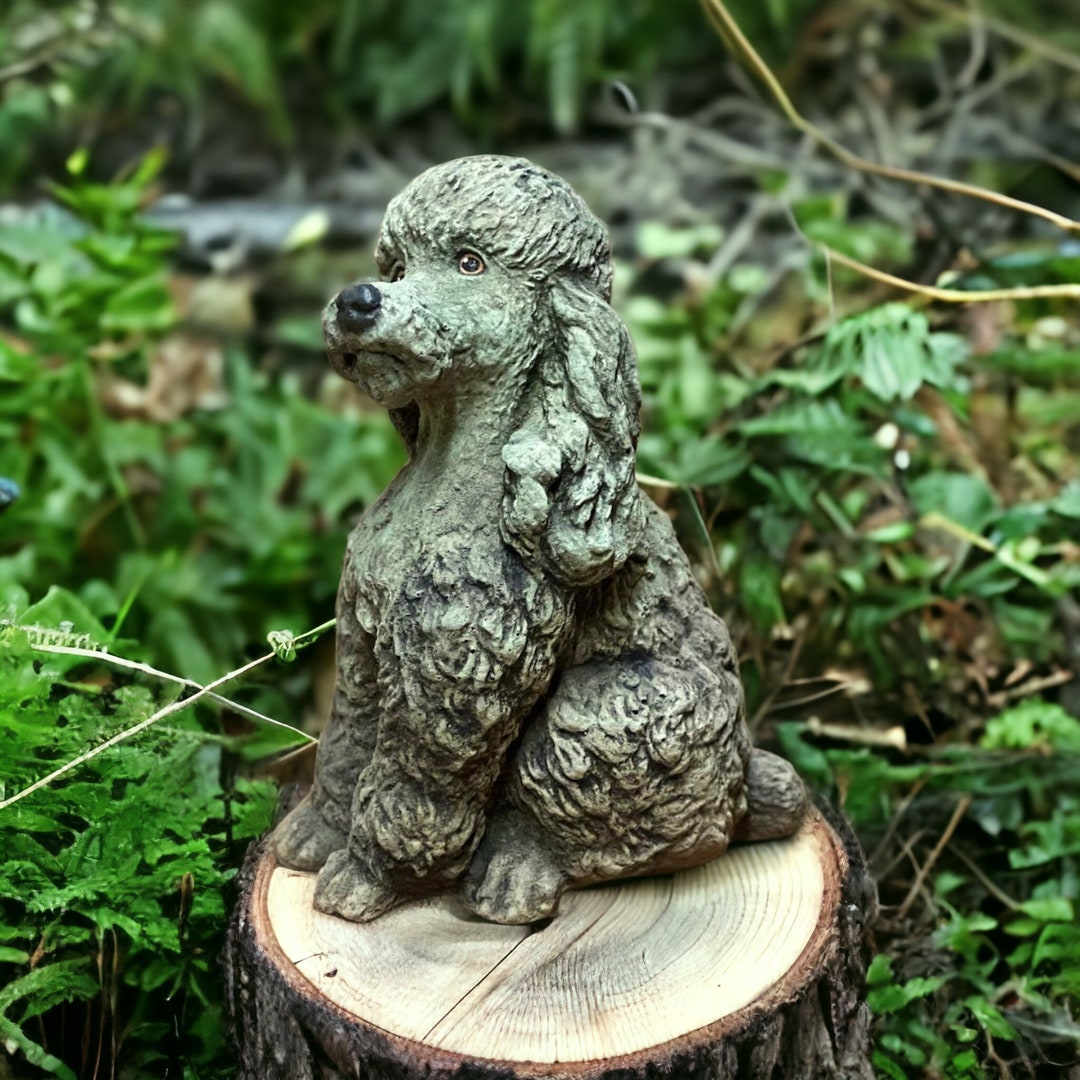 Concrete Poodle Dog Statue Detailed Poodle Figure Sitting Etsy