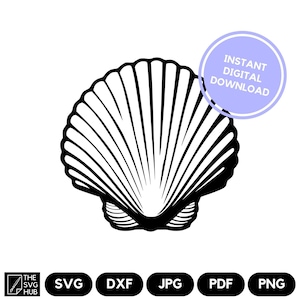 May include: Black and white illustration of a seashell.  INSTANT DIGITAL DOWNLOAD. SVG, DXF, JPG, PDF, PNG.